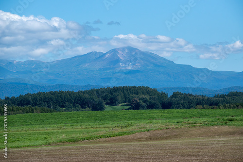 緑の牧草畑と山並み　大雪山
