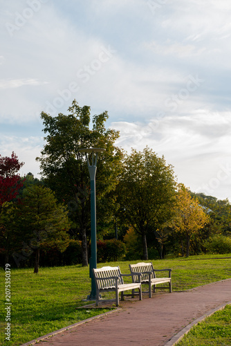 夕暮れの公園のベンチと煉瓦敷きの歩道
