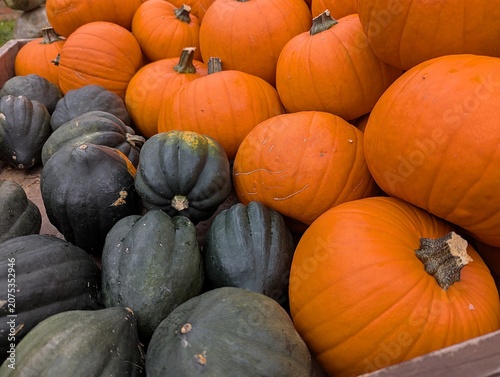 Close-up of various pumpkins lying at the market