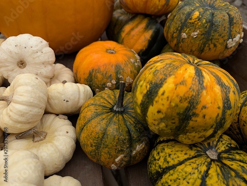 Close-up of various pumpkins lying at the market