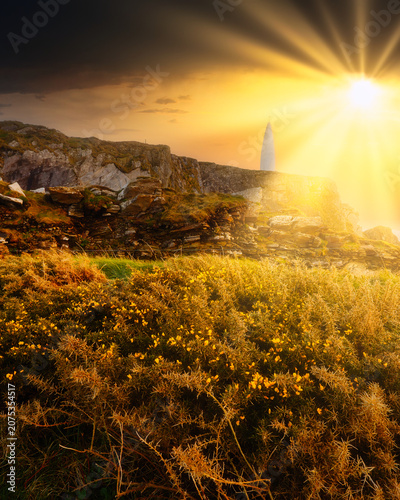 Vászonkép A conical structure stands atop a rocky cliff, overlooking the sea and surrounded by flowering gorse bushes, all bathed in bright sunlight
