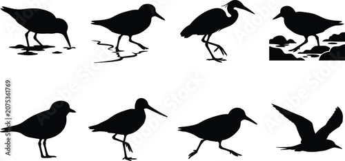 Tableau sur toile Shorebird and Wading Bird Silhouette Collection with Flying and Feeding Poses