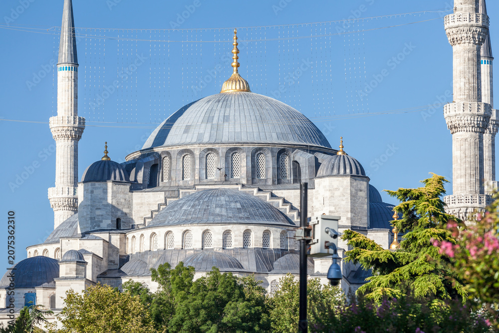 Obraz premium The Blue Mosque (Sultan Ahmed Mosque) viewed from Sultanahmet Square in Istanbul, Turkey