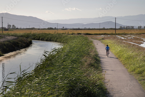 Young boy riding bicycle on rural path