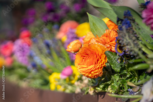 Spring paints with every color. A glowing orange ranunculus takes center stage, surrounded by a joyful chorus of blossoms that transform an ordinary planter into a celebration of the season.