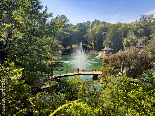 Fotografie Lush Tropical Landscape with a Water Fountain and Footbridge in Williston, Florida, USA