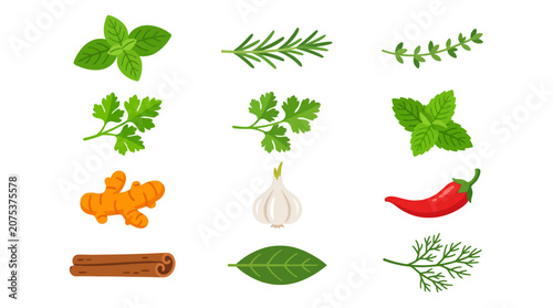 Collection of fresh herbs and aromatic spices for cooking.