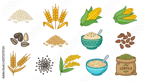 Collection of various healthy grains seeds and cereals food icons.