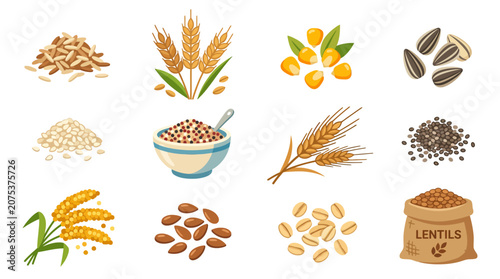 Collection of various healthy grains seeds and cereals illustrations.