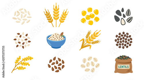 Hand drawn collection of various cereal grains and healthy legumes.