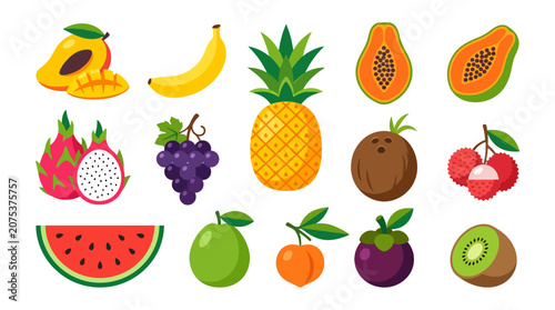 Collection of vibrant tropical fruits and exotic healthy food items illustration.