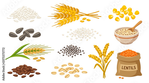 Set of agricultural crops cereals grains and legumes icons.
