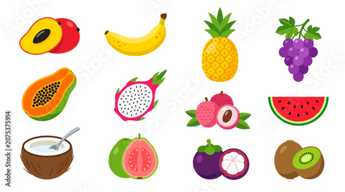 Set of colorful fresh tropical fruits and berries vector illustration.