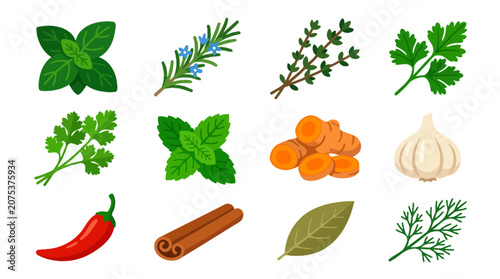 Set of colorful hand drawn culinary herbs and spices icons.