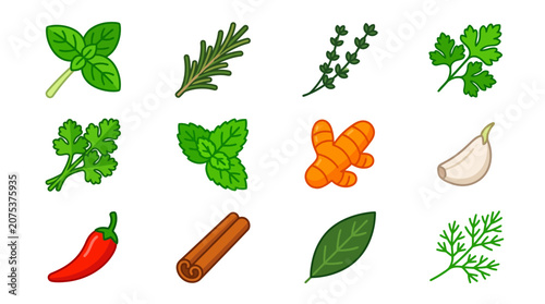 Set of colorful hand drawn culinary herbs and spices icons.