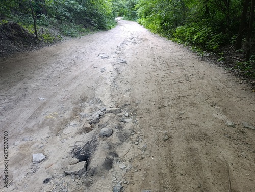 Canvastavla Rough damaged dirt road through green forest with deep soil erosion, water washo
