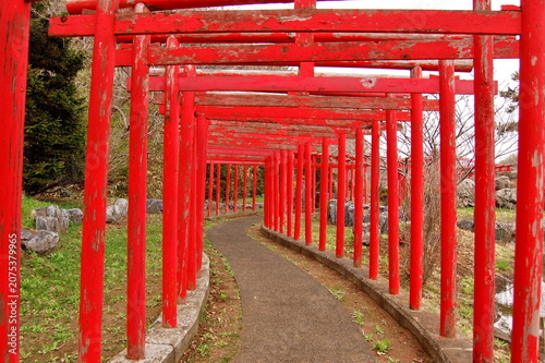 Tunnel of vibrant red Senbon Torii gates winding through the path at Takayama Inari Shrine in Aomori Japan