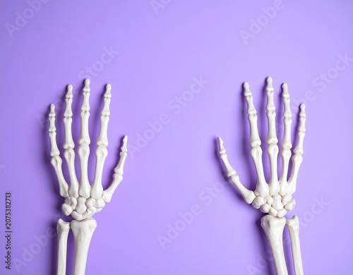 A close-up of two human skeleton hands on a purple background