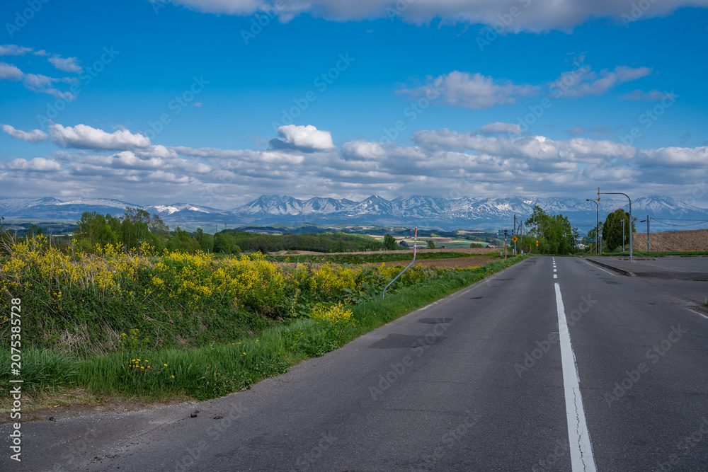 Fototapeta premium Patchwork road, Biei, Japan
