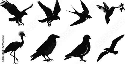 Foto Flying and Perching Bird Silhouette Collection Featuring Eagle Raven Swallow Hum