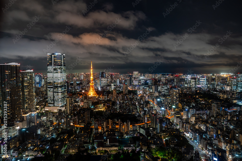 Fototapeta premium Tokyo night view, Japan