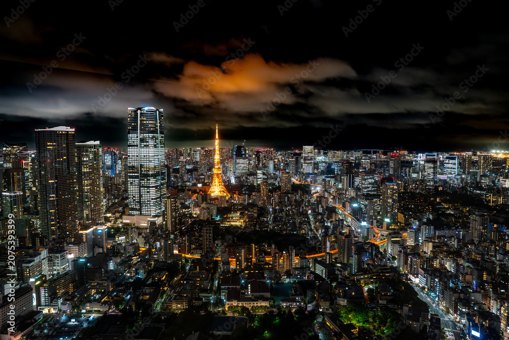 Fototapeta premium Tokyo night view, Japan
