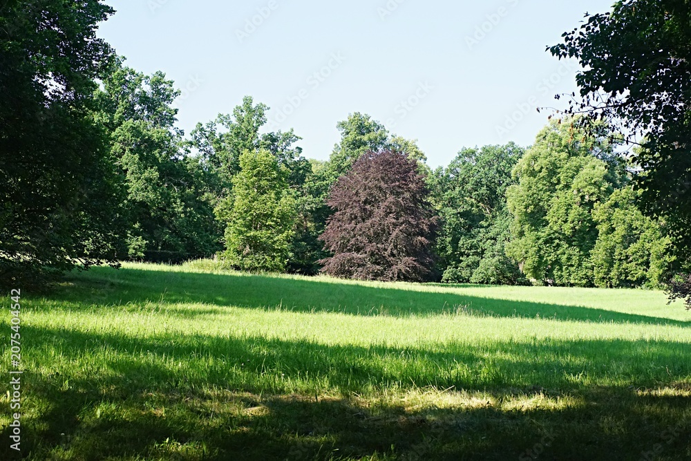 Fototapeta premium Jardin du château Orlik
