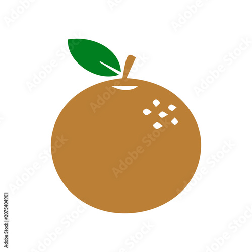 Simple Orange Fruit Icon