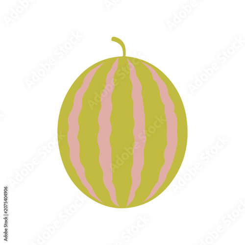 Watermelon illustration