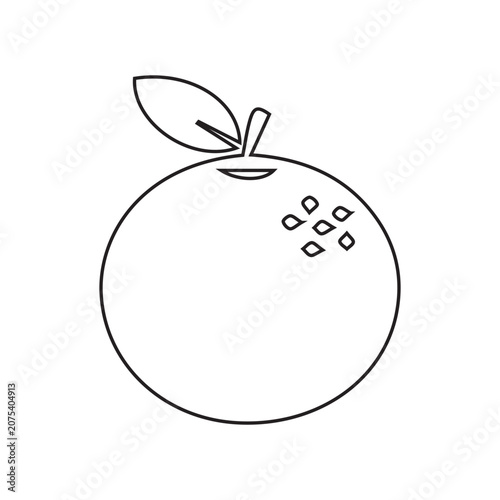 Orange Fruit Line Icon