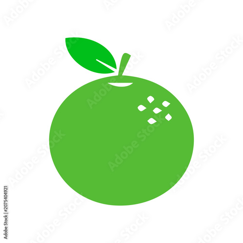 Fresh Green Fruit Icon