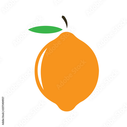 Fresh Orange Fruit Icon