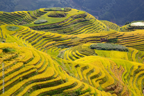 Longji Rice Terraces