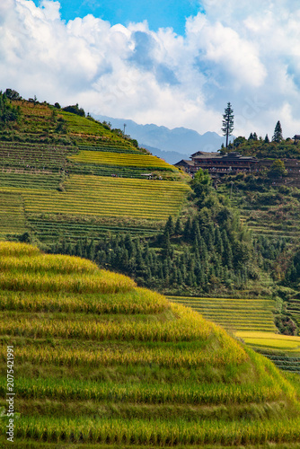Longji Rice Terraces