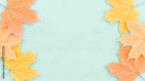 Autumn Maple Leaves Border on Light Blue Background