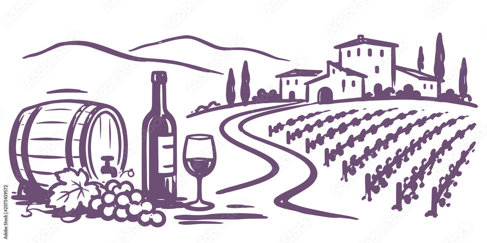 Fototapeta premium Vineyard Winery Landscape Hand Drawn Vector Illustration