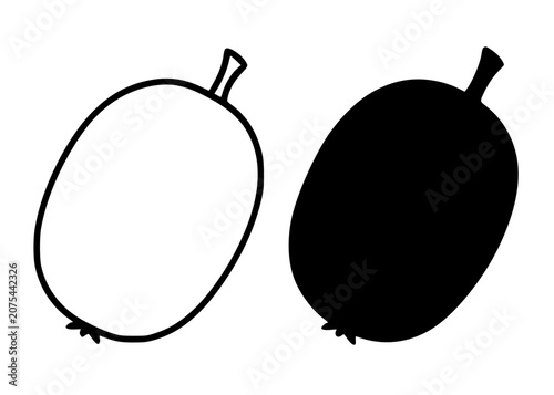 Canvastavla Fruit icon, minimalist illustration of kiwi in outline and silhouette design