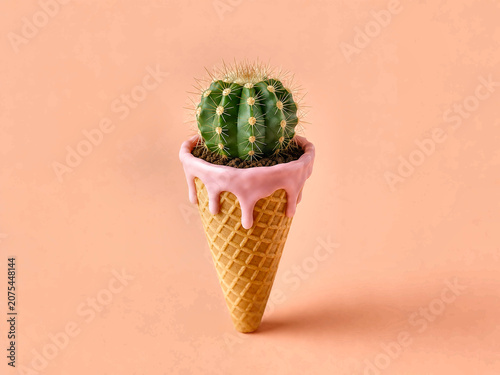 Cactus planted inside ice cream cone