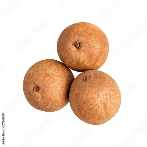 Sapodilla, photograph asset