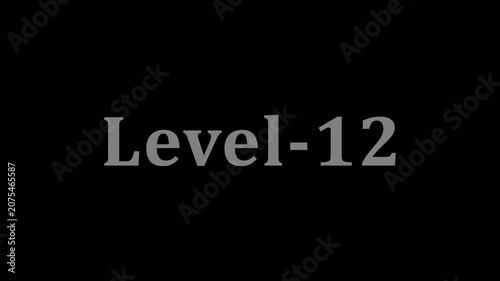 Level twelve text screen animation on black background showing digital progress ui.