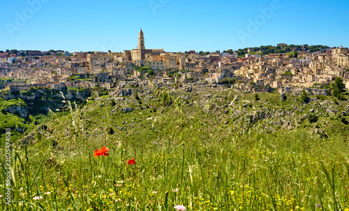 Panoramic view of the medie...
