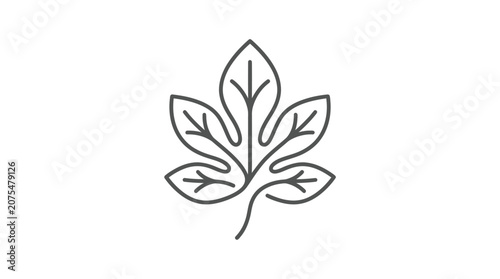 Simple line drawing of a leaf.