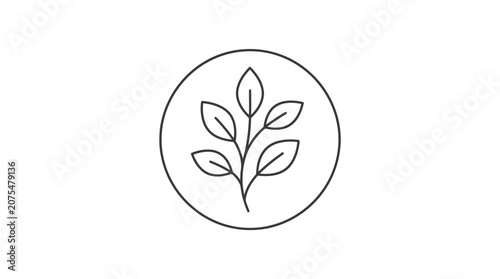Simple line drawing of a plant.