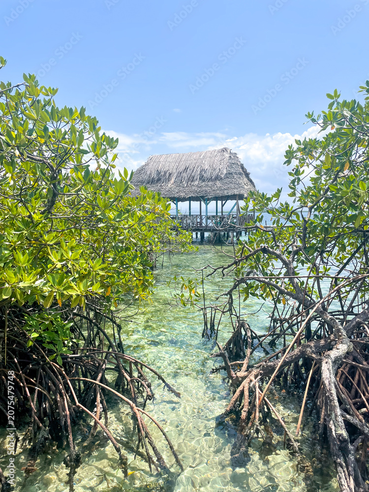 Fototapeta premium A thatched hut on wooden stilts above turquoise water in a Bocas del Toro lagoon, lush mangroves, cloudy tropical sky
