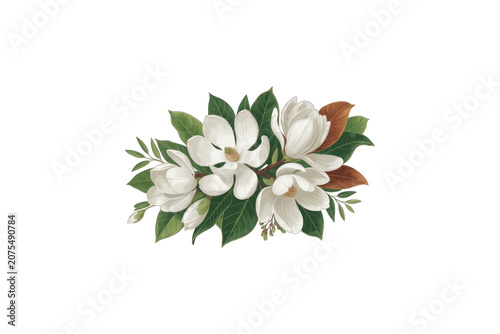 White flowers with green leaves on transparent background