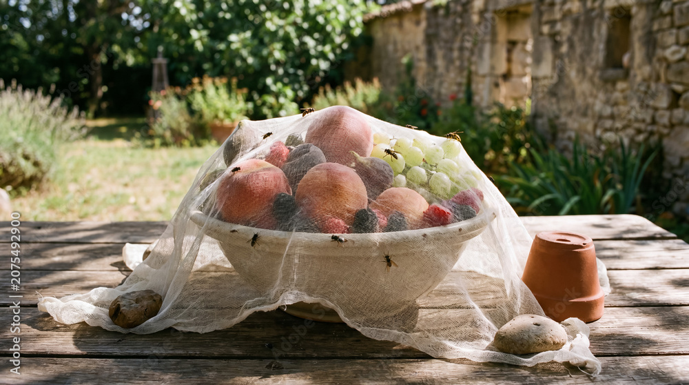Naklejka premium Bowl of fresh summer fruit covered by protective netting deterring wasps on a rustic outdoor wooden table