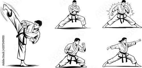 Photos Martial arts vector icons, karate poses, black belt illustrations, fighting stan