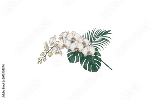 White flowers and green leaves bouquet on transparent background.