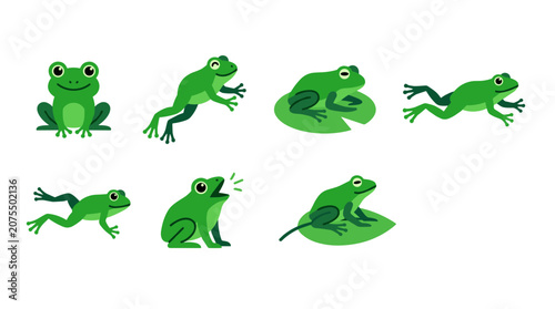 Green Frogs in Various Poses.