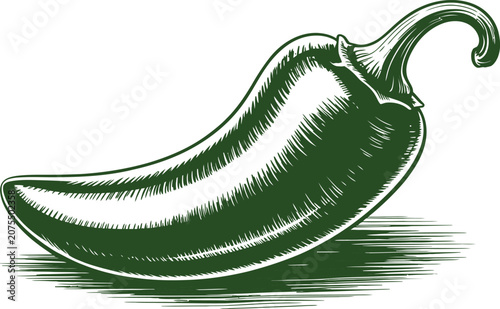 Green chili pepper, vector illustration, spicy food, green vegetable, culinary icon